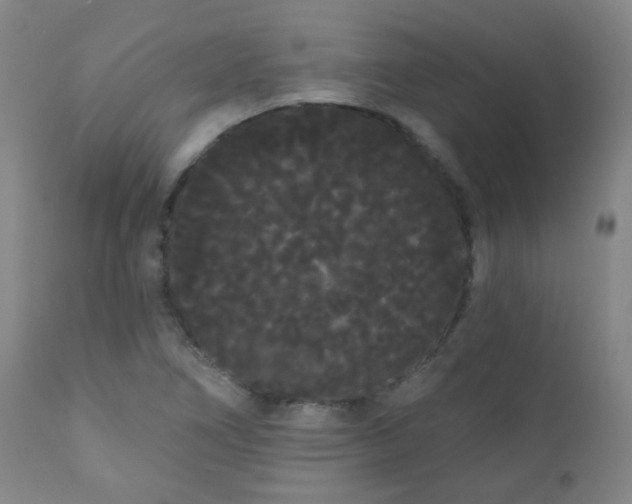 X0000111051266200906251425
