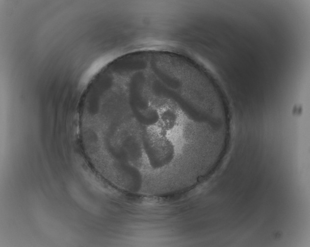 X0000111051267200906251425