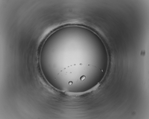 X0000111051270200906251425