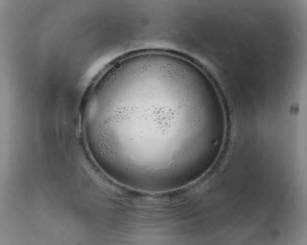 X0000111051271200906251425
