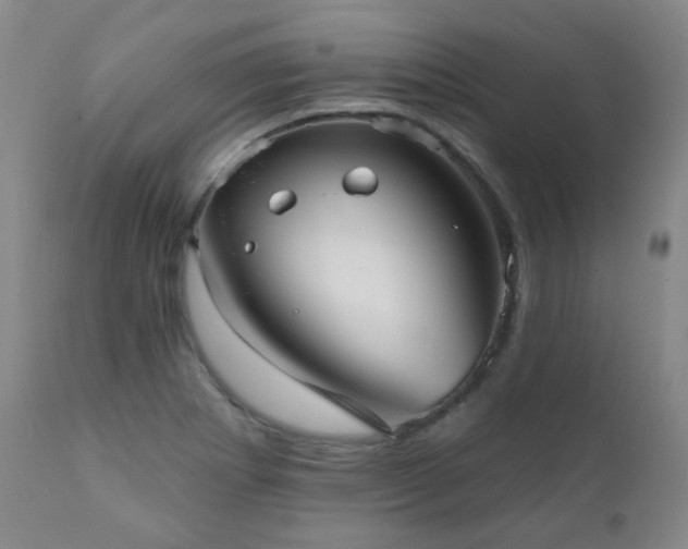 X0000111051273200906251425