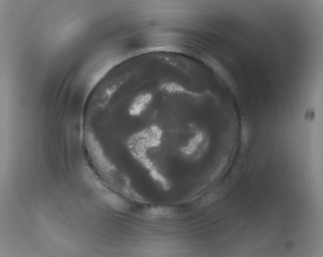 X0000111051274200906251425