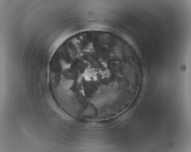 X0000111051275200906251425