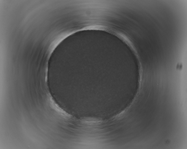 X0000111051276200906251425