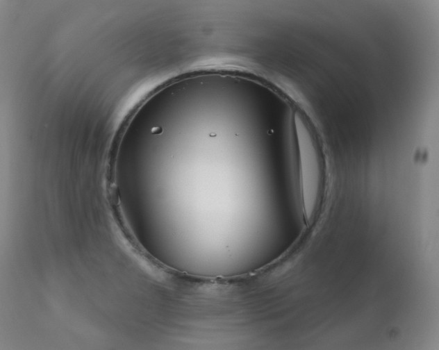 X0000111051277200906251425