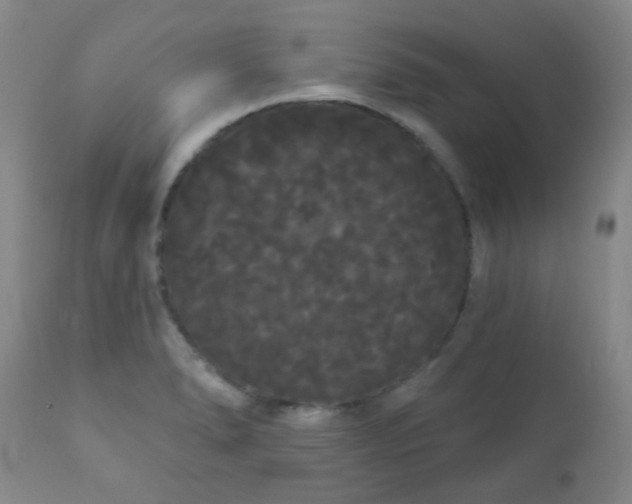 X0000111051278200906251425