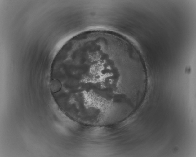 X0000111051279200906251425