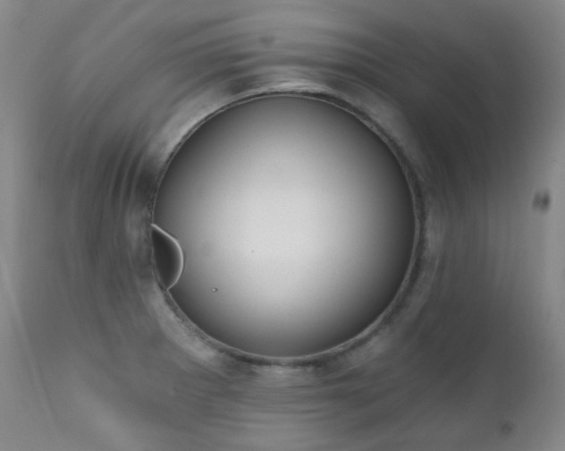 X0000111051281200906251425