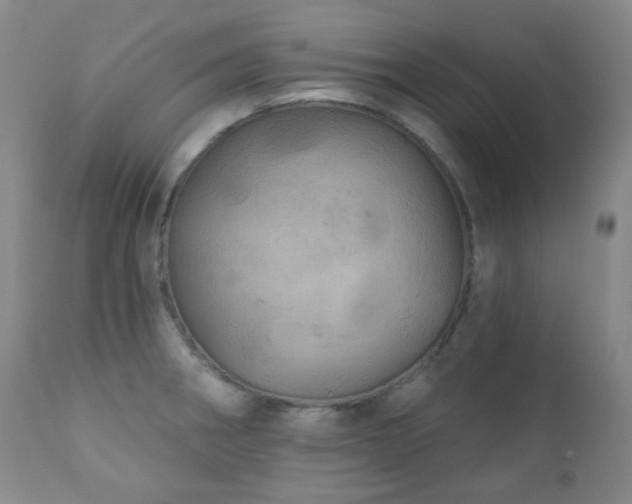 X0000111051282200906251425