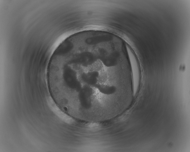 X0000111051283200906251425