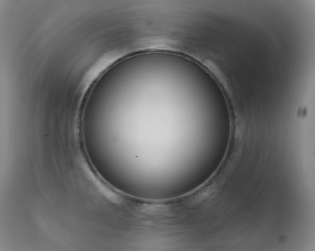 X0000111051285200906251425