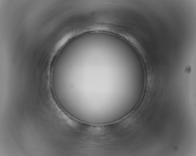 X0000111051286200906251425