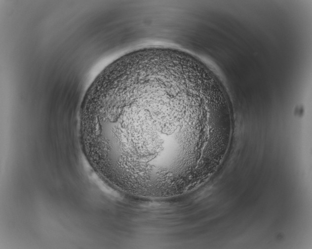 X0000111051287200906251425