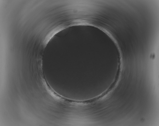 X0000111051289200906251424
