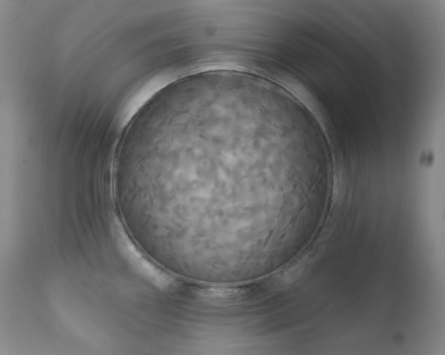 X0000111051290200906251424