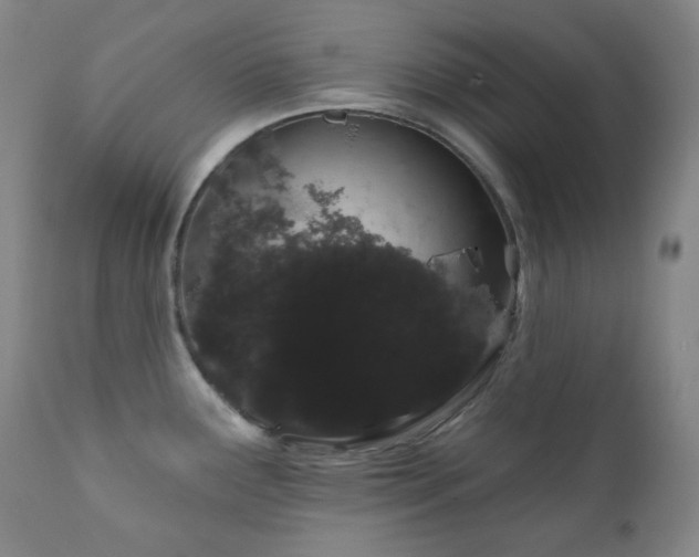X0000111051291200906251424