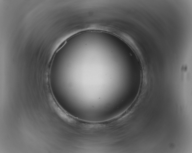 X0000111051292200906251424