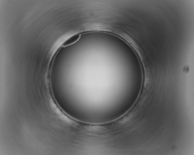 X0000111051293200906251424