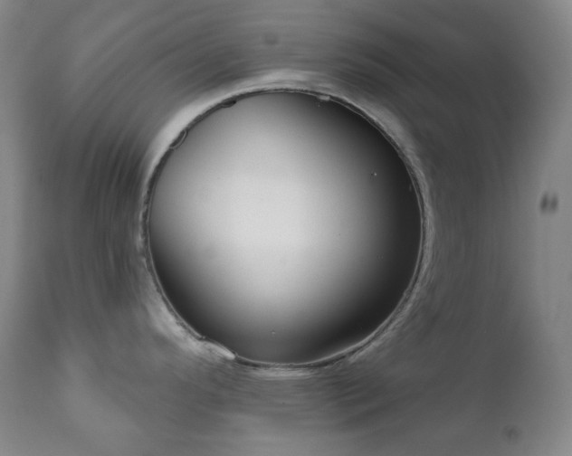 X0000111051296200906251424