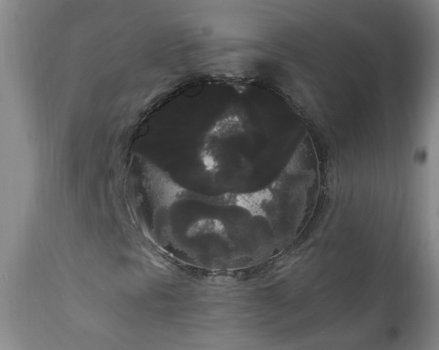 X0000111051297200906251424