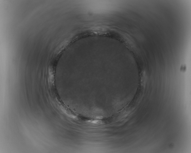 X0000111051298200906251424