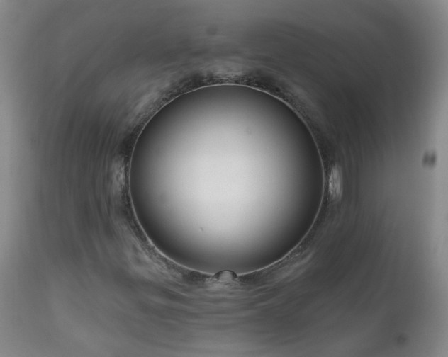 X0000111051299200906251424