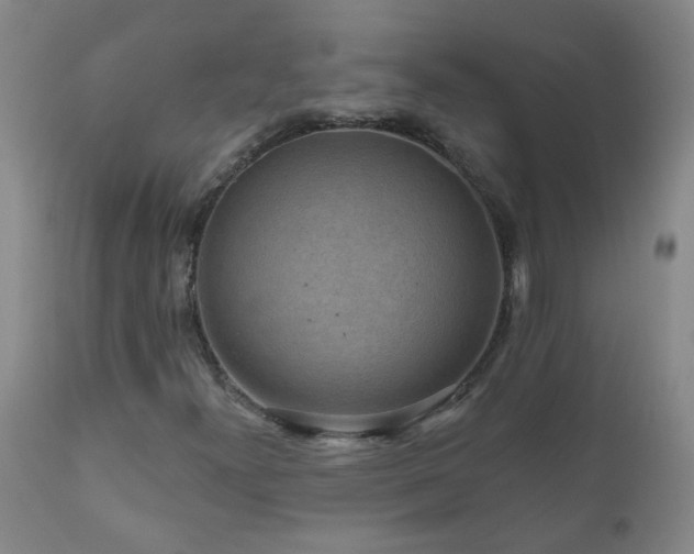 X0000111051300200906251424