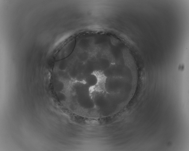 X0000111051302200906251424