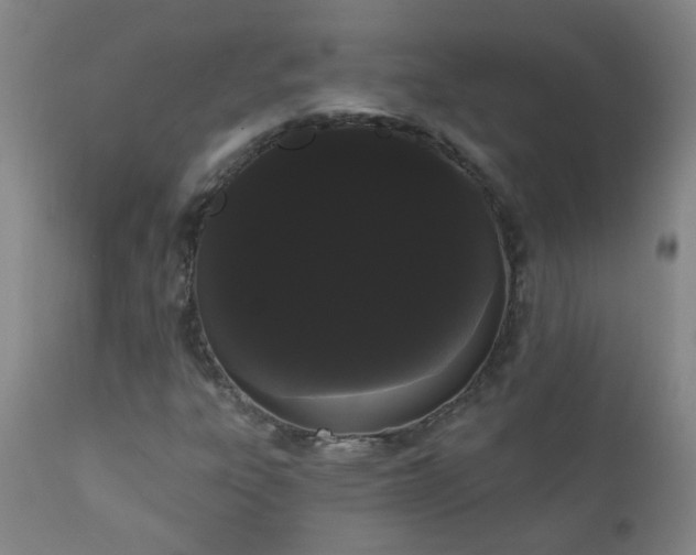 X0000111051303200906251424