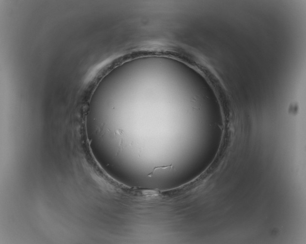 X0000111051304200906251424