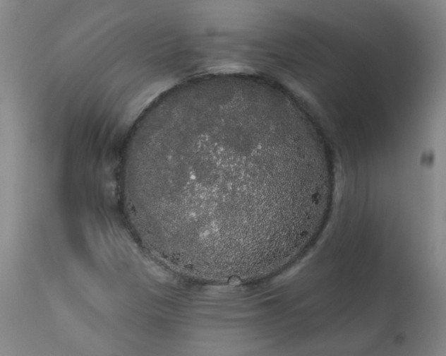 X0000111051305200906251424