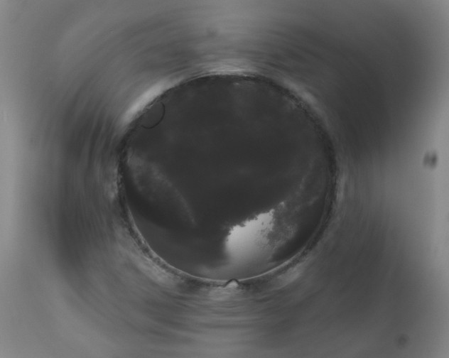 X0000111051306200906251424