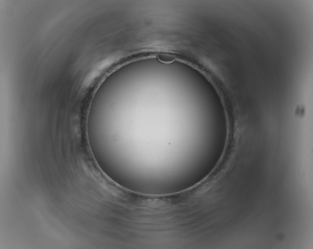 X0000111051307200906251424