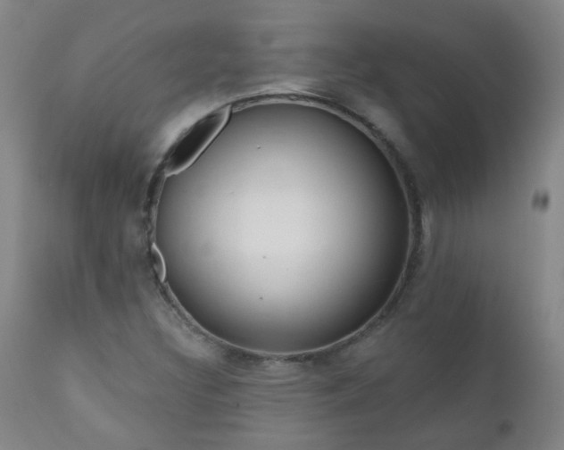 X0000111051308200906251424