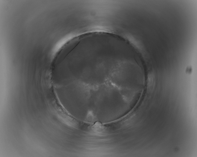 X0000111051310200906251424