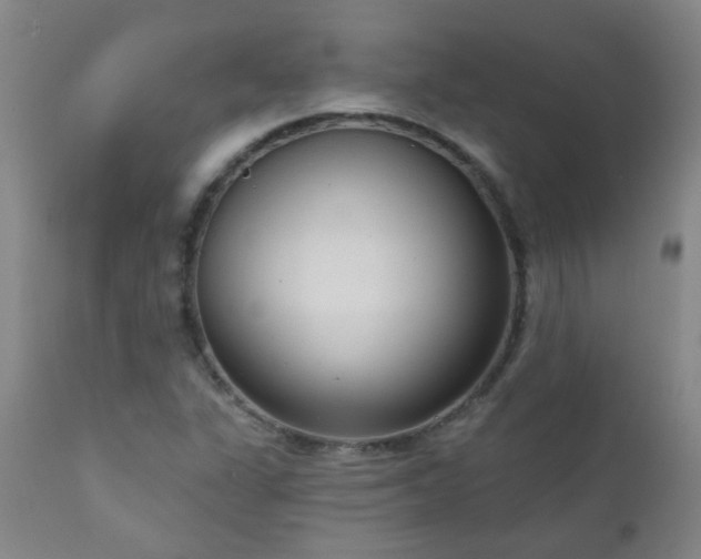X0000111051311200906251424