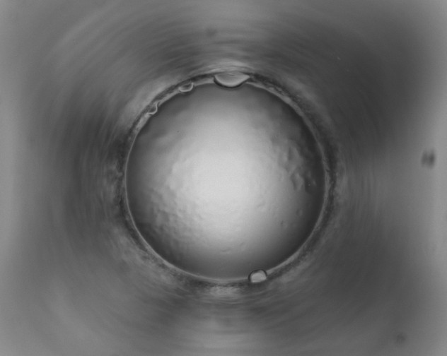 X0000111051313200906251424