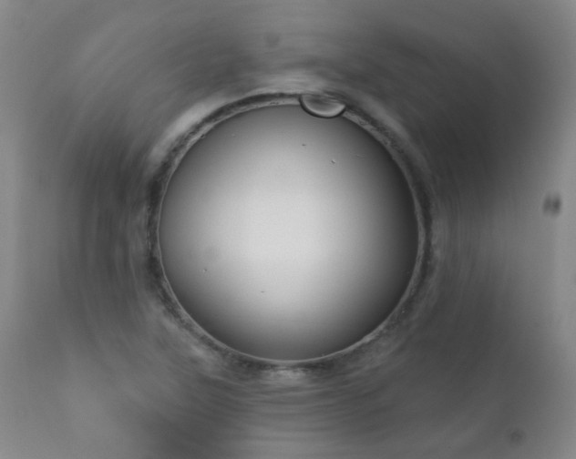 X0000111051315200906251424