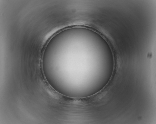 X0000111051316200906251424