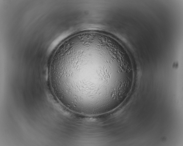 X0000111051317200906251424