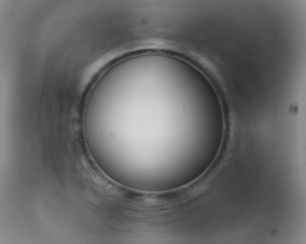 X0000111051318200906251424