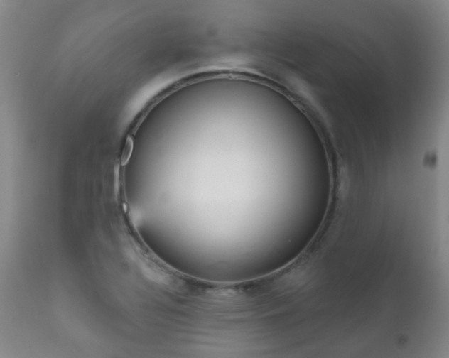X0000111051320200906251424