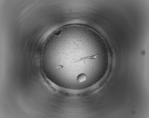 X0000111051321200906251424