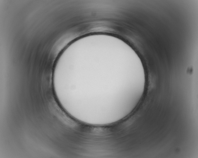 X0000111051322200906251424