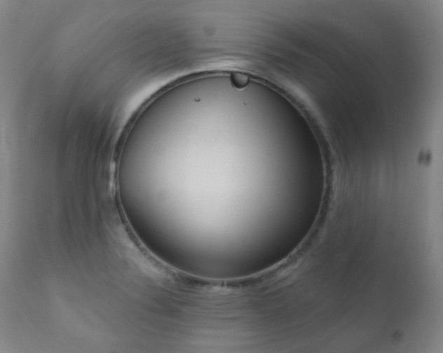 X0000111051324200906251424