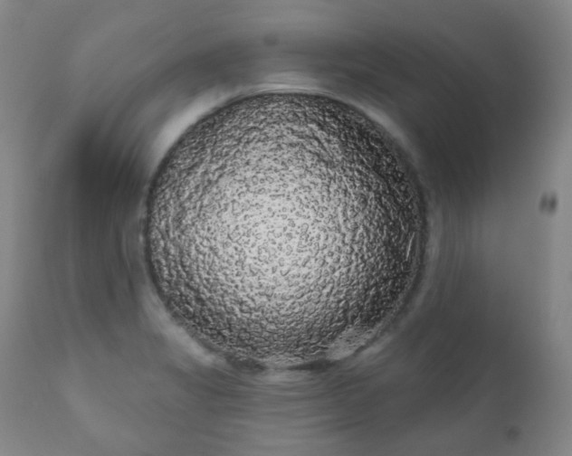 X0000111051325200906251424