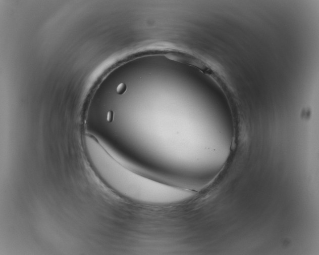 X0000111051326200906251424