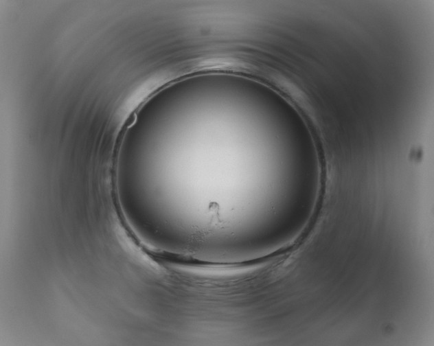 X0000111051330200906251424