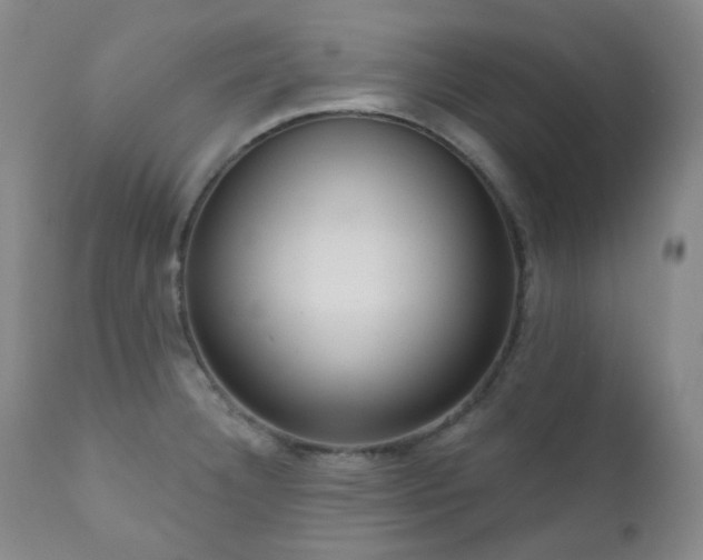 X0000111051332200906251424