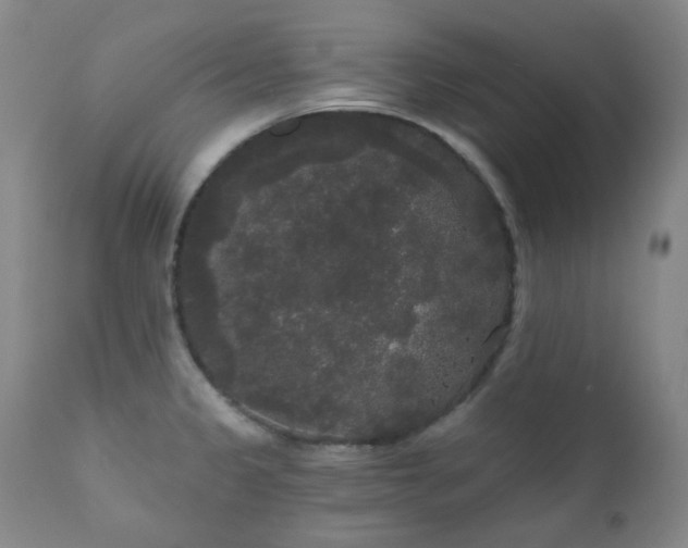 X0000111051333200906251424